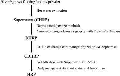 A Novel Polysaccharide From Heimioporus retisporus Displays Hypoglycemic Activity in a Diabetic Mouse Model